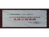 2023年度消费品行业数字化转型先进示范案例
