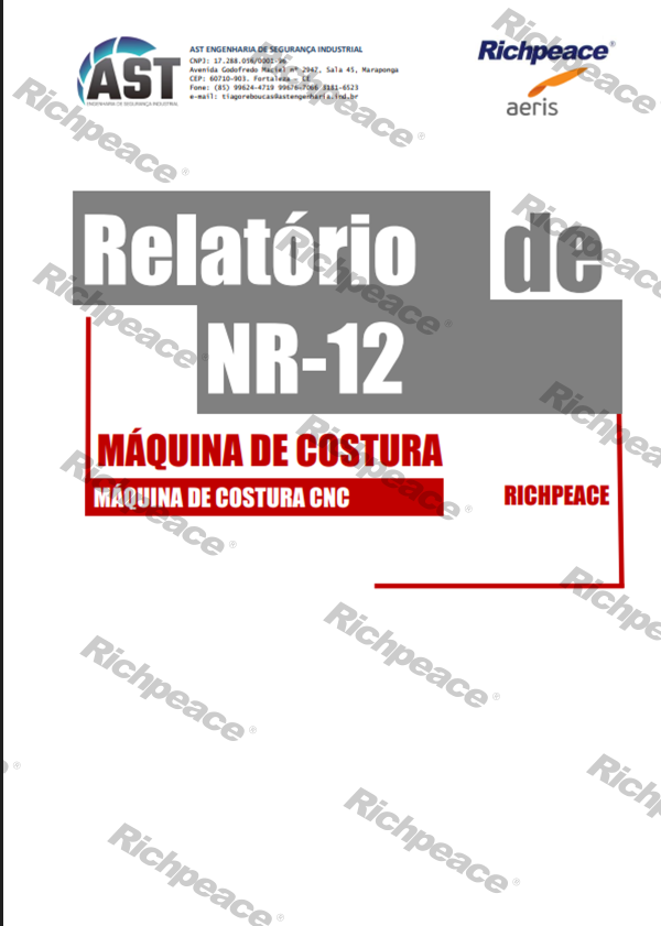 Relatório - Máquina de Costura - REV2（检测报告）